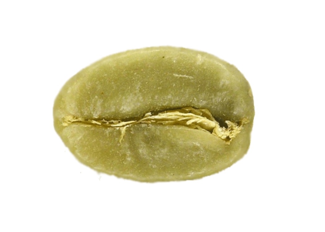 1 KG Zelená káva Brazília 100% Arabica